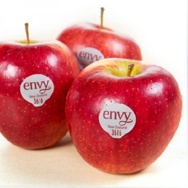 ENVY APPLE/USA OR NEW ZEALAND/24,28,32PCS/10KG