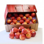 ENVY APPLE/USA OR NEW ZEALAND/24,28,32PCS/10KG