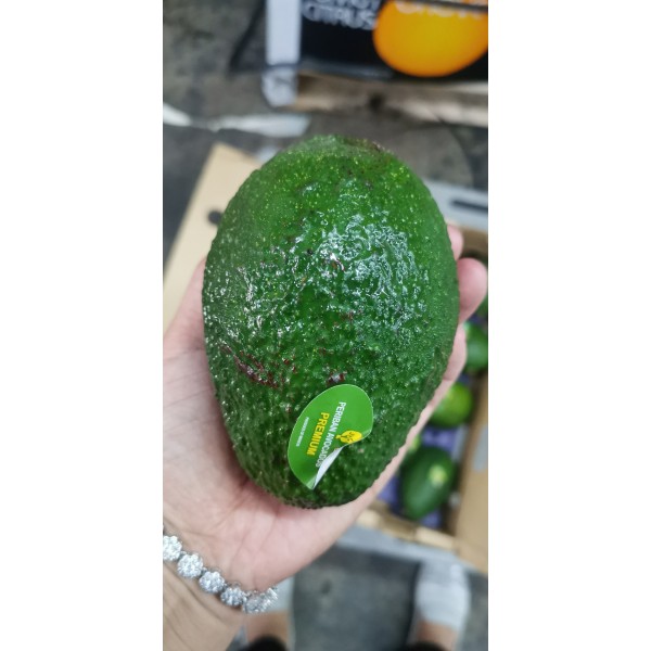 JUMBO AVOCADO(HASS)-16-18PCS/MEXICO