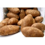 RUSSET POTATO/5KG/USA