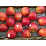 ENVY APPLE/USA OR NEW ZEALAND/24,28,32PCS/10KG