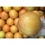 STAR RUBY RED GRAPEFRUIT-SOUTH AFRICA/50PCS