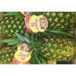 PINEAPPLE-PHILLIPPINE/7PCS